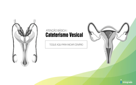 Cateterismo Vesical